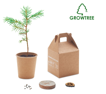 GROWTREE-pine
