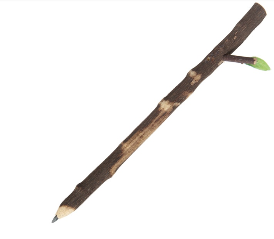 Koka zīmulis ar plaukstošu lapiņu