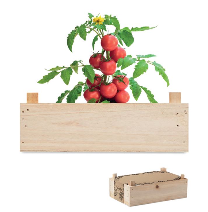 Growing kit in a wooden crate