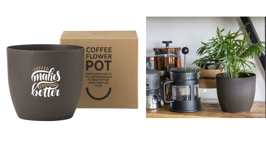 Compostable flower pot is made from the coffee grounds 