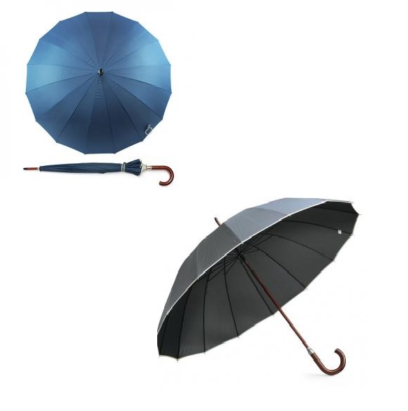 Elegant Umbrella